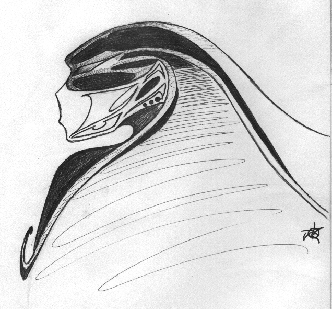 Head