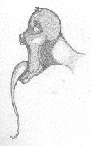 Lextalionis